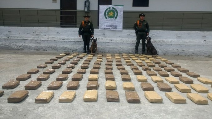 Perros especializados encontraron 120 pacas de cripy que mandaron desde Cali a Medellín 1 Incautaci%C3%B3n marihuana