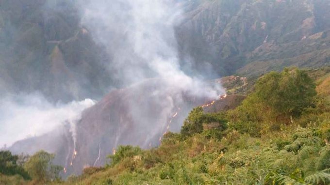 Decretan alerta naranja en el municipio de Abejorral por incendio forestal que afectó su zona rural