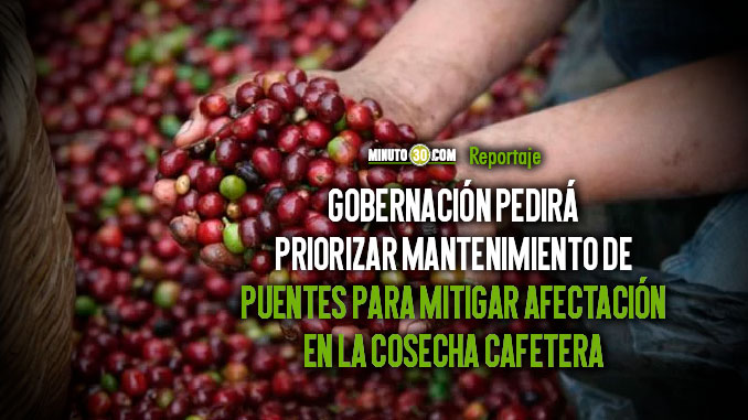 Un comité de trabajo buscará soluciones a la problemática por derrumbe en la Troncal del Café