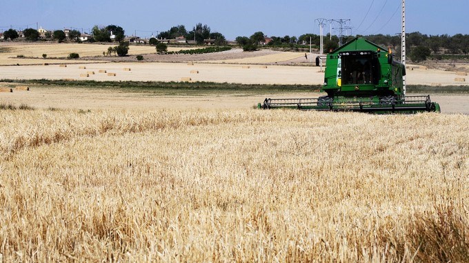 Que el mundo consuma menos carne, ONU debate cambios para salvar el planeta
