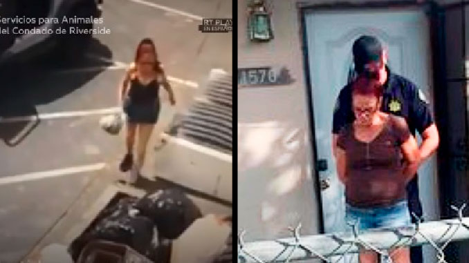 Condenan a un año de prisión a mujer que arrojó a 7 cachorros a un basurero