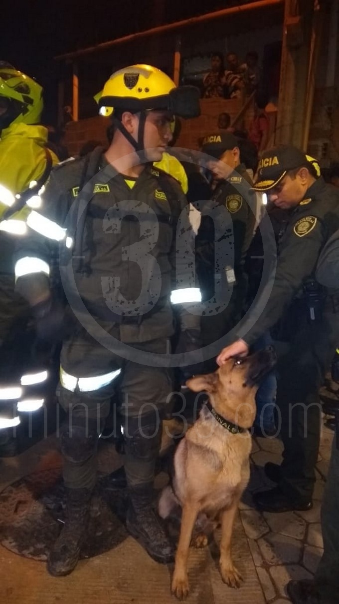 Fotos:"El niño estaba atado de pies y manos": alcalde y policía de Medellín hablaron sobre el atroz asesinato de Marlon Cuesta 3 perro que encontr%C3%B3 los restos