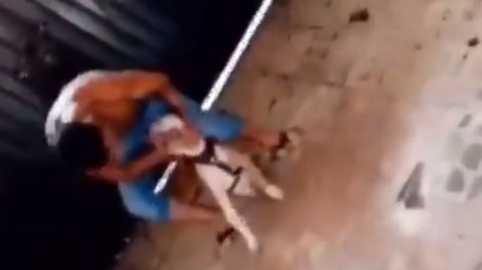 EN VIDEO: ¡Horrible! A golpes un sujeto acabó con la vida de un perrito