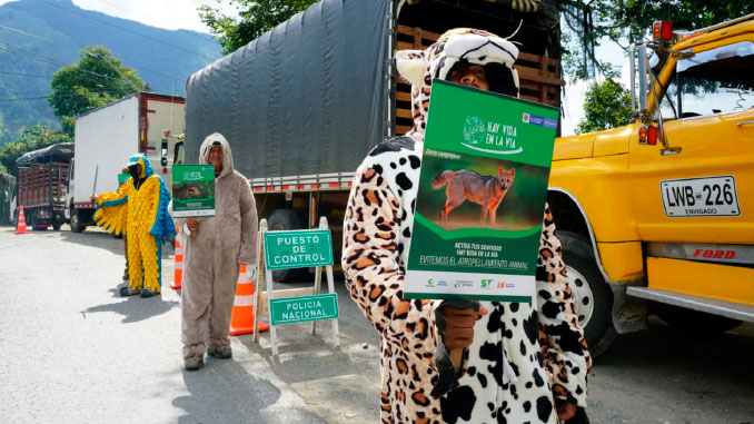 ¡Hay vida en la vía!, Campaña que invita a proteger la fauna silvestre en las carreteras de Antioquia