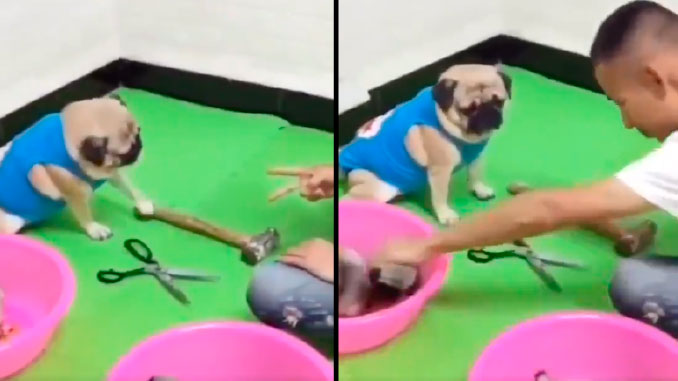 Video viral. Foto Cortesía.