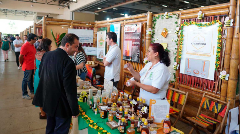 Unión Europea y MinAmbiente invertirán 5 millones de euros en programa de negocios verdes en el país