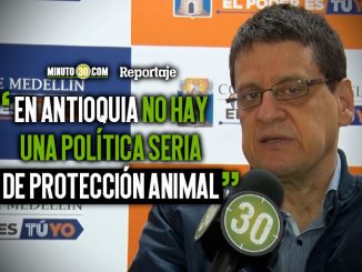 Álvaro Múnera quiere seguir trabajando por los animales, esta vez desde la Asamblea de Antioquia 1 alvaro M%C3%BAnera quiere seguir trabajando por los animales esta vez desde la Asamblea de Antioquia