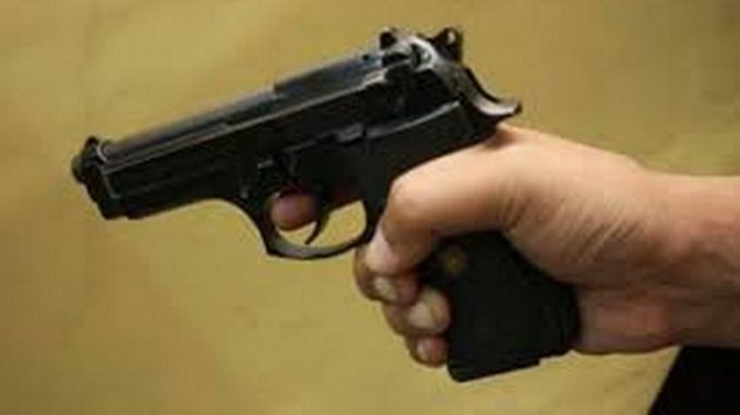 arma-de-fuego-pistola-arma