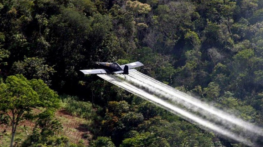 Aún no aprueban la aspersión aérea con glifosato y Mindefensa ya está contratando los pilotos para las labores