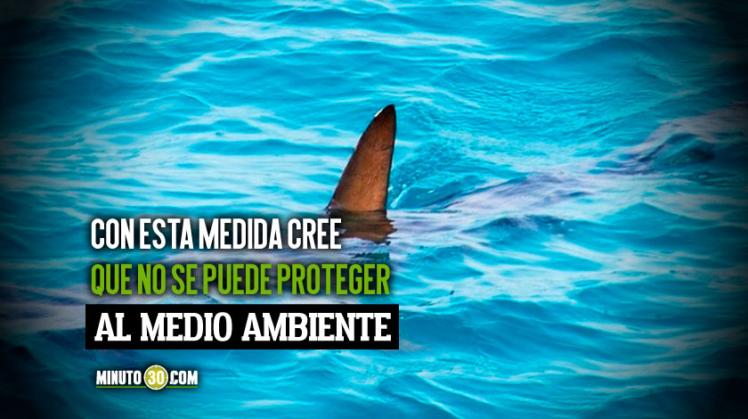 Presidente del Congreso rechazó aprobación de pesca de tiburones y pidió al Gobierno que anule la medida
