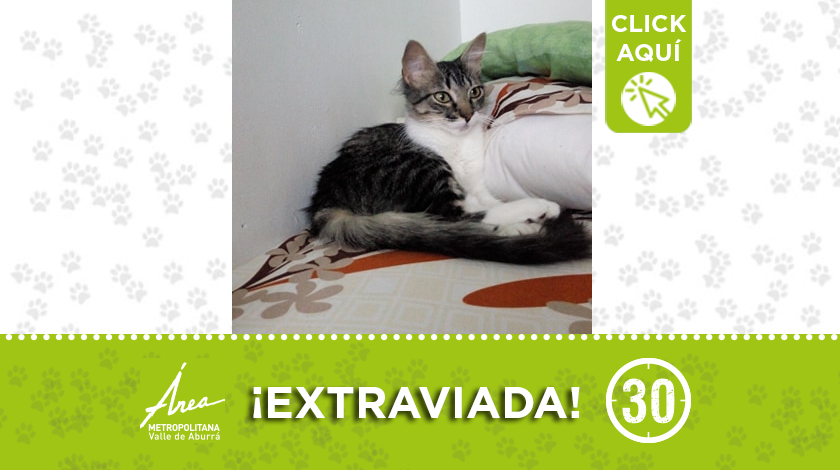 destacada 18