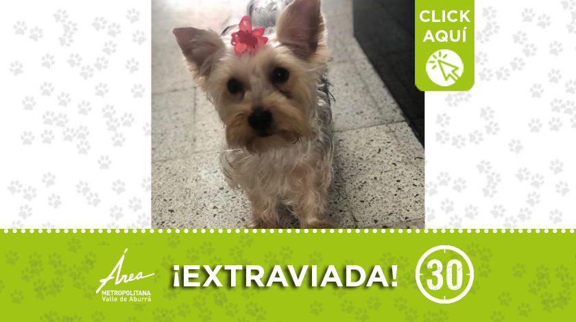destacada 41