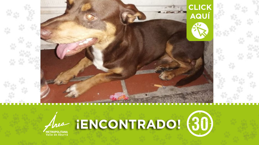 encontrado belen