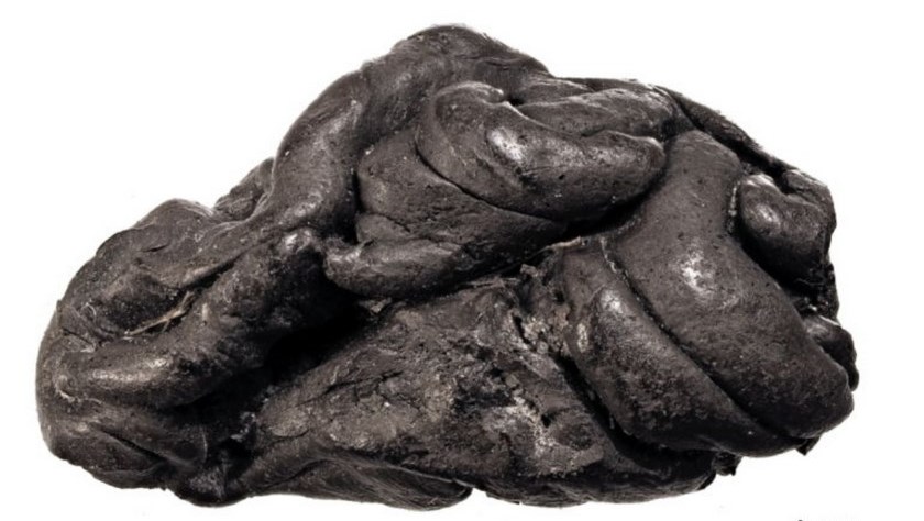 Un ‘chicle’ de hace 5.700 años permitió recrear la imagen de una joven de la Edad de Piedra