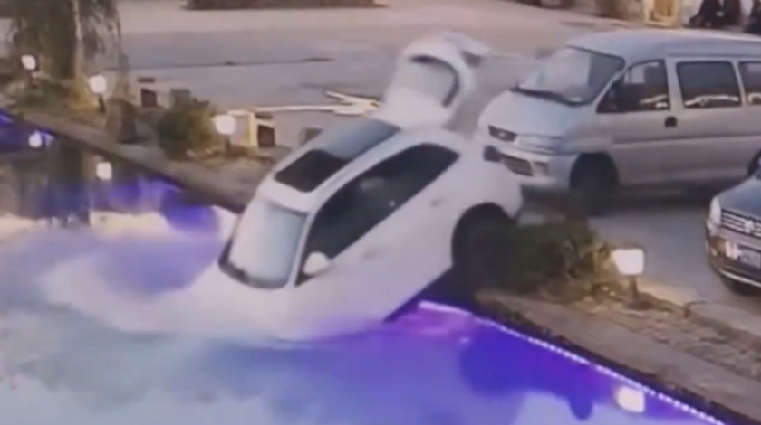 Video: ¡Insólito! Un perro ‘manejó’ el carro de su amo y lo sumergió en un estanque