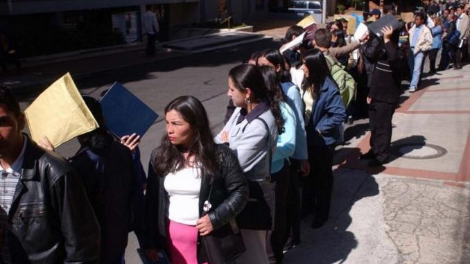Desempleo desempleados