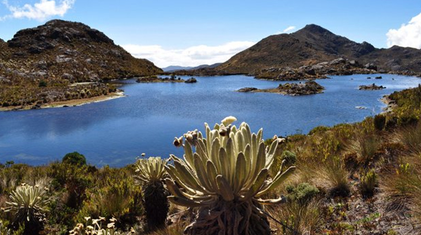 Procuraduría llamó la atención de la ANLA y MinAmbiente por posible explotación minera en el Páramo de Santurbán