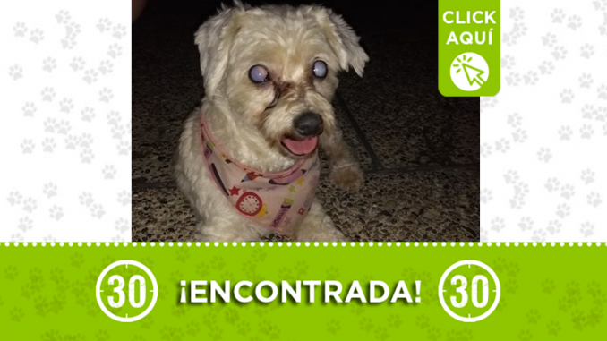 destacada