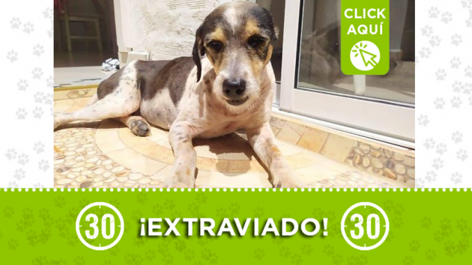 destacada