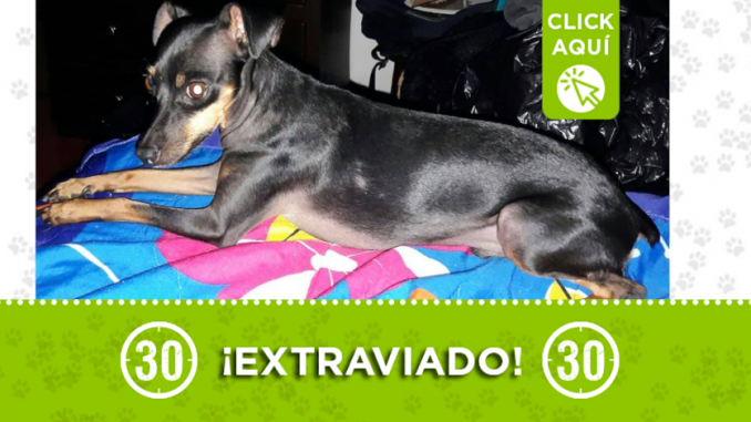 destacada