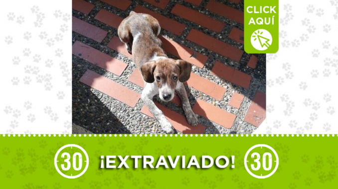 destacada