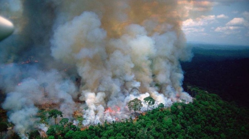 Foto: Se prenden las alarmas por posibles incendios en la Amazonía