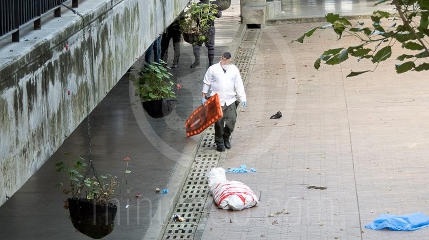 portada muerto santo domingo inspeccion tecnica