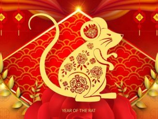 Inicia el Año de la Rata de Metal en el Horóscopo Chino. Conoce las predicciones para tu animal... -Mono, Gallo, Perro, Cerdo- 1 rata de metal horoscopo