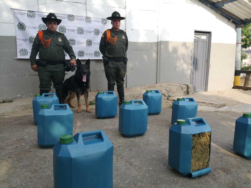 Fotos: ¡La llevaba en tarros de aceite! Incautados 55 kilos de marihuana y capturado un hombre con 386 cartuchos y dinero en efectivo 4 160220 Incautaci%C3%B3n de 55 kilos de marihuana 1