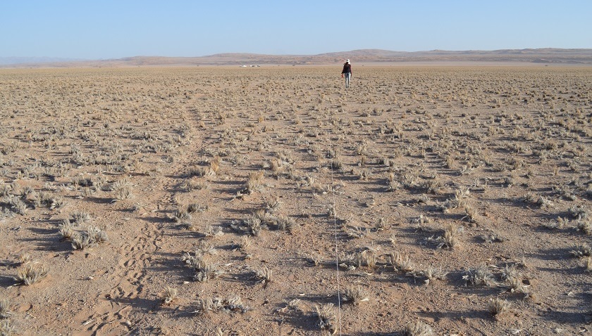 Lo que el cambio climático hará en las zonas secas en los próximos años afectaría a 2.000 millones de personas