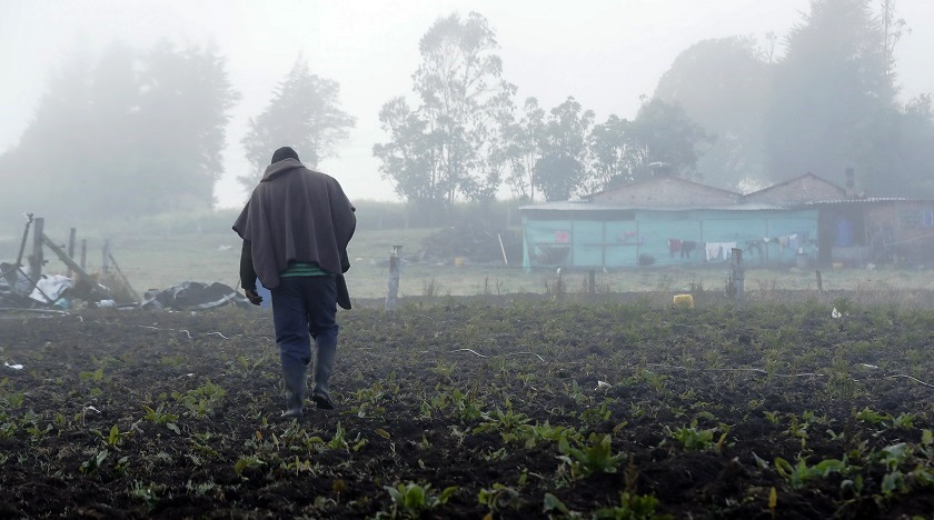 Heladas destruyen cultivos y afectan a 14.000 familias campesinas en Boyacá