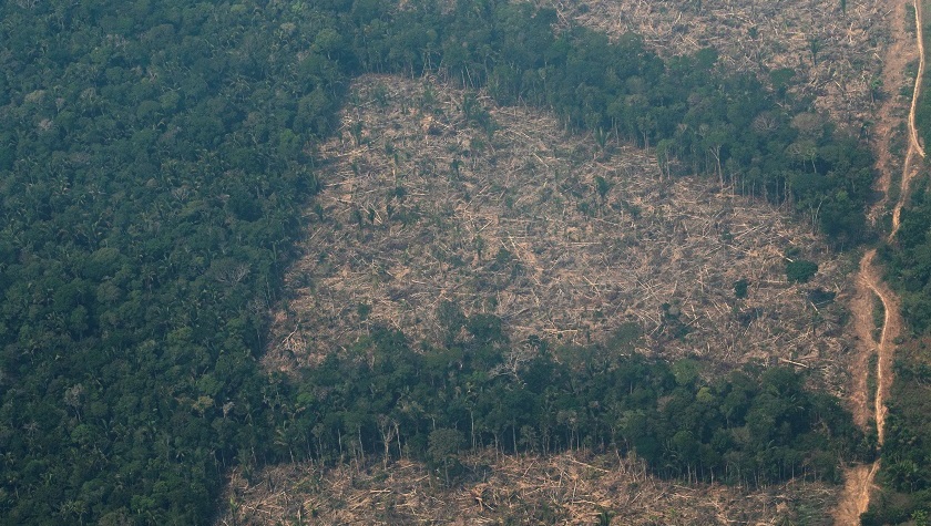 La deforestación de la Amazonía en enero fue la mayor para el mes en cinco años