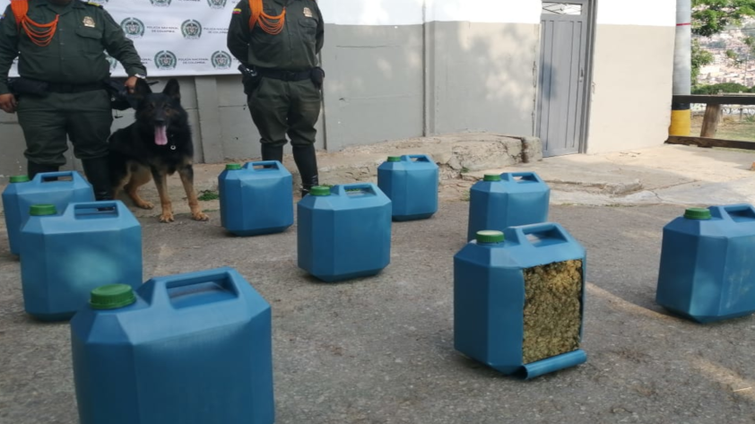 Cogieron estos ‘galones de marihuana’ que mandaron a Bello desde Cali 1 marihuana