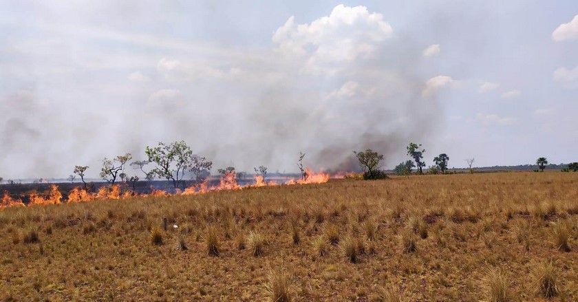 Incendio forestal en el Parque Nacional El Tuparro ha afectado más de 1.100 hectáreas