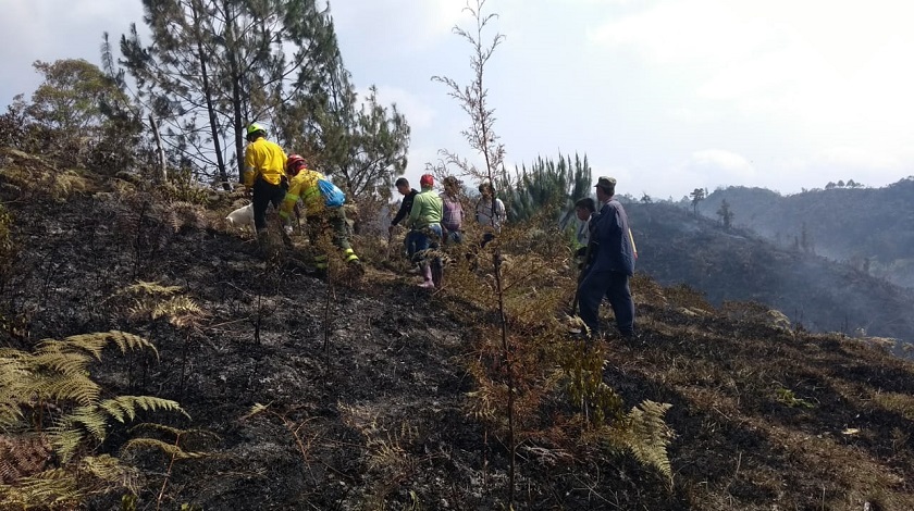 Un incendio activo acabó con 5 hectáreas de vegetación en El Retiro