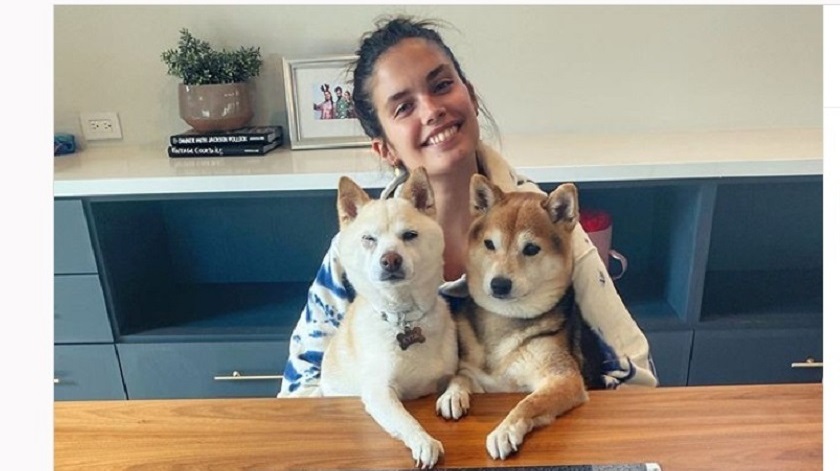 El confinamiento está poniendo a prueba la capacidad de las celebridades para cubrir el entretenimiento del día a día