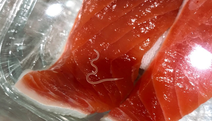 Los mares tienen 280 veces más anisakis que en 1970