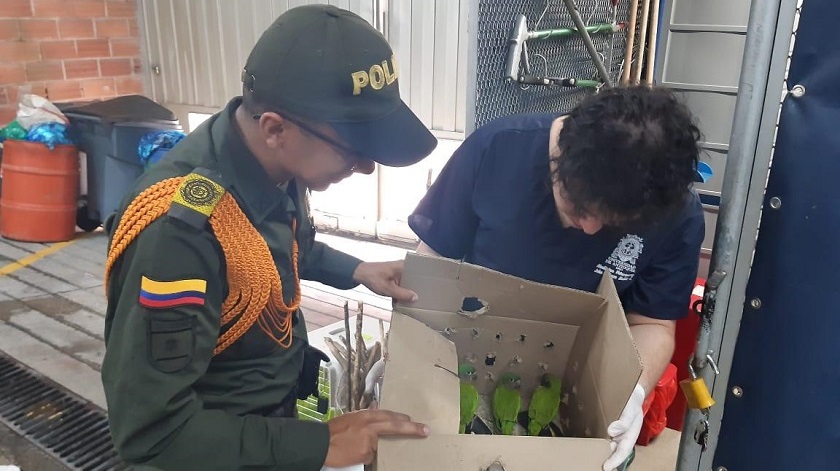 Foto cortesía tomada del perfil de Twitter @PoliciaMedellin