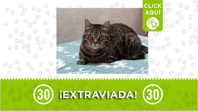 gatica