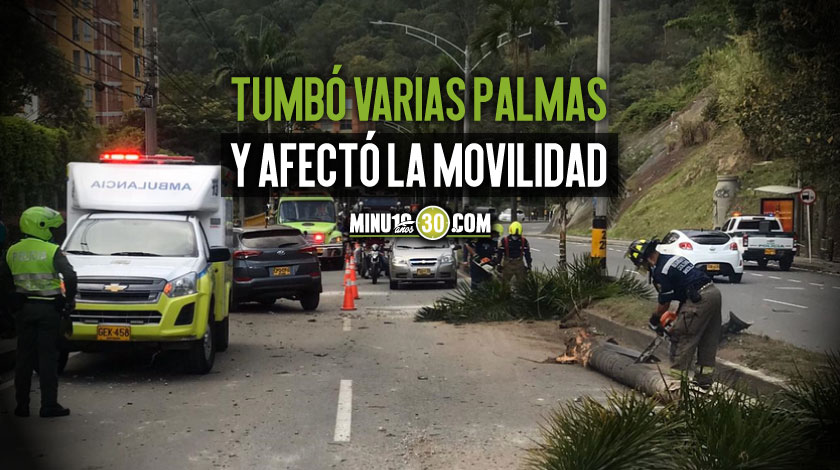 FOTO: A extranjero al volante se lo ‘comió’ una curva en Las Palmas, se salió de carril y tumbó un poste