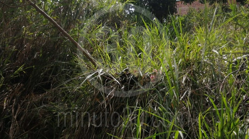 FOTOS Y VIDEO: En alto grado de descomposición encontraron el cuerpo de un hombre en una cañada de Villa Guadalupe 4 Encuentran cuerpo en avanzado estado de descomposicion en Villada Guadalupe Medellin1