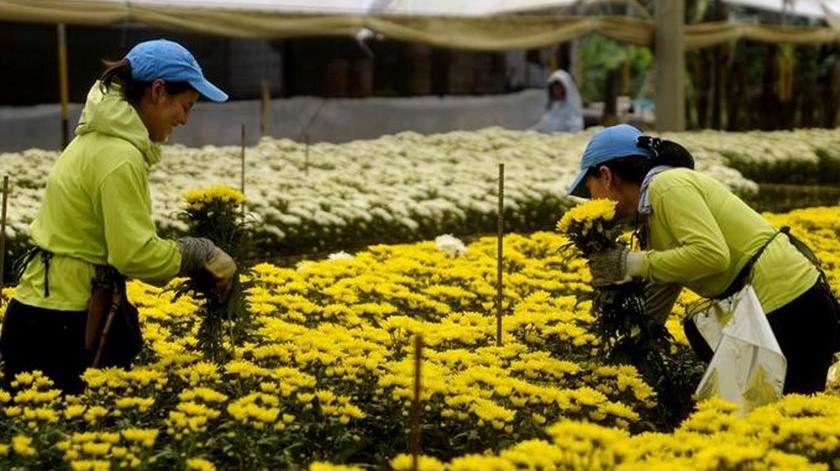 Fenalco destaca nuevas medidas económicas, pero advierte preocupación por el acceso de los empresarios a los créditos