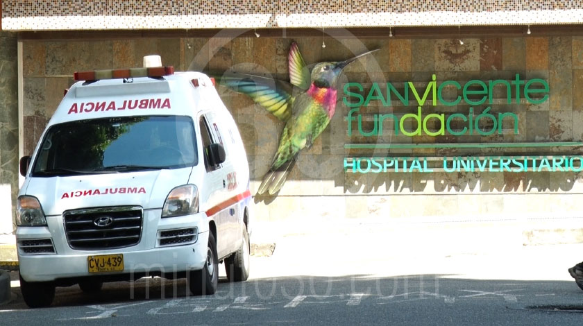 ¡Buenas noticias! Hospital San vicente Fundación da de alta a primer neonato recuperado por Covid-19