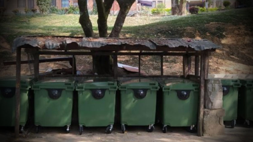 En plena cuarentena puede haber plaga de roedores en Medellín: RECOMENDACIONES PARA EVITARLO