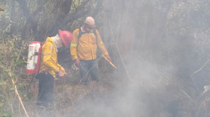 FOTOS: ¡Por segundo día! Autoridades atienden incendio forestal en área protegida de Caribe colombiano