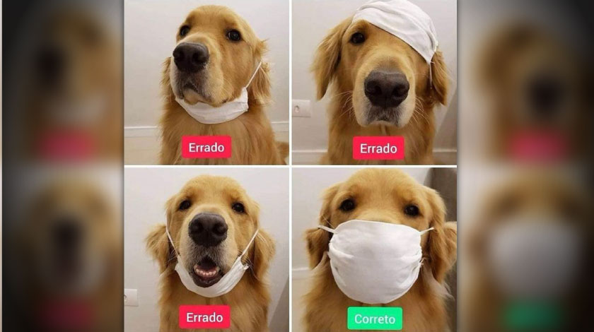 Foto: ¡Qué hermosura! Con un perrito, secretaria de Salud explica cómo se usa el tapabocas