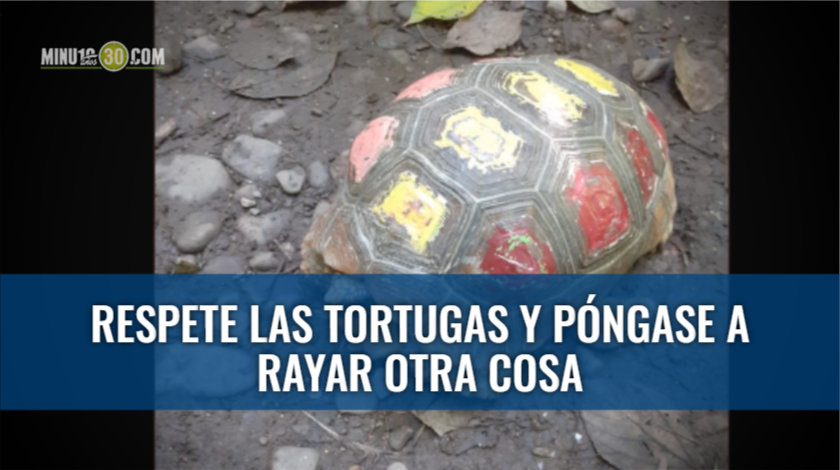EN FOTOS: ¡Descarados! Se ponen a rayar los caparazones de las tortugas y ponen en peligro sus vidas