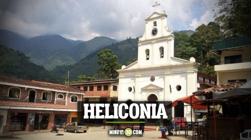 heliconia antioquia