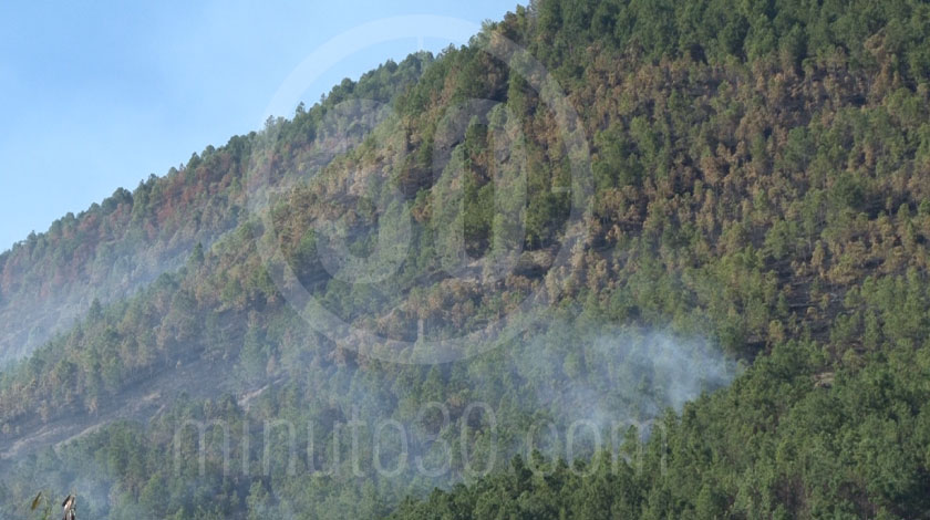 ¡Atentos! Cuerpo de Bomberos de Medellín entregó varias recomendaciones por incendios forestales