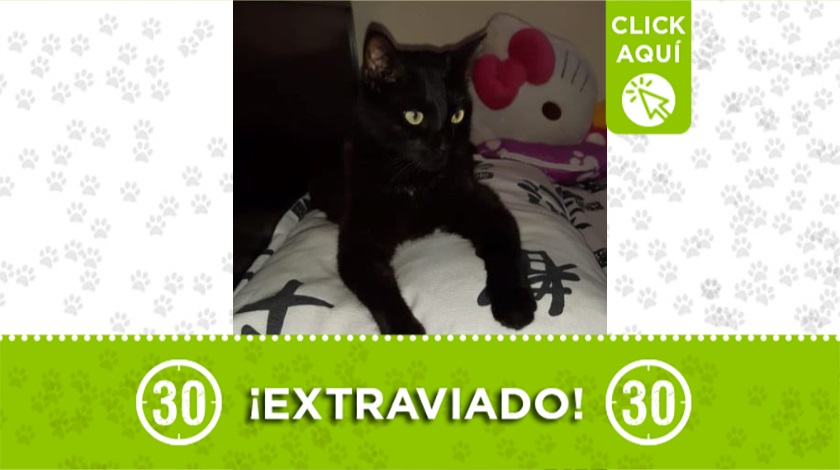 "Dante" perdido en Castilla